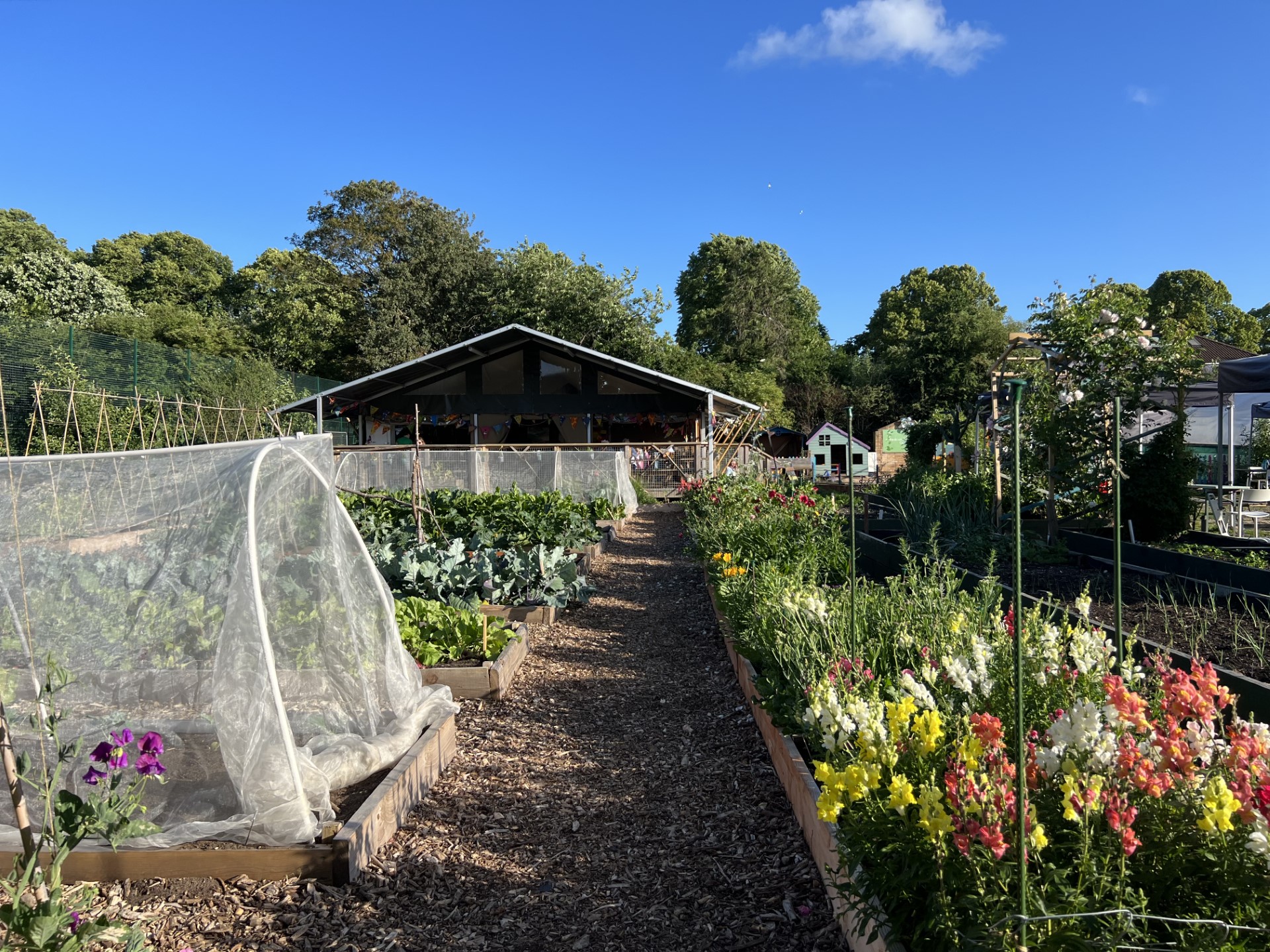 Redcatch Community Garden