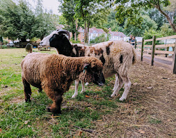 What 1% means to St Werburghs City Farm